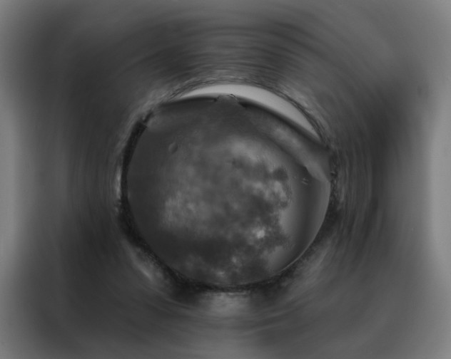 X0000088390303200705221120