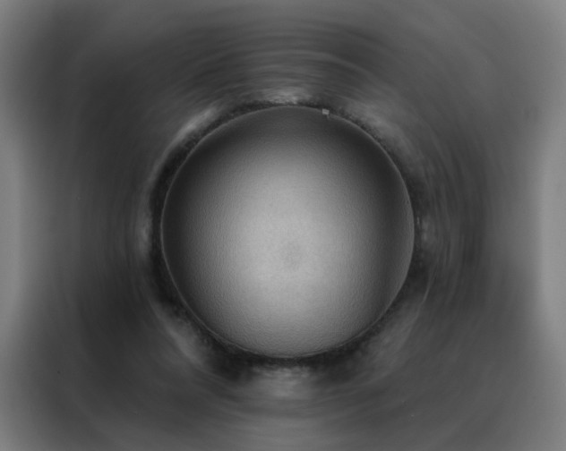 X0000088390304200705221120