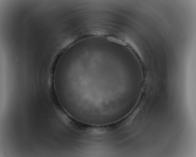 X0000088390305200705221120