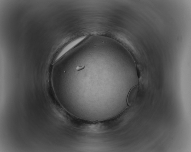 X0000088390306200705221120