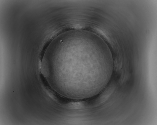 X0000088390307200705221120