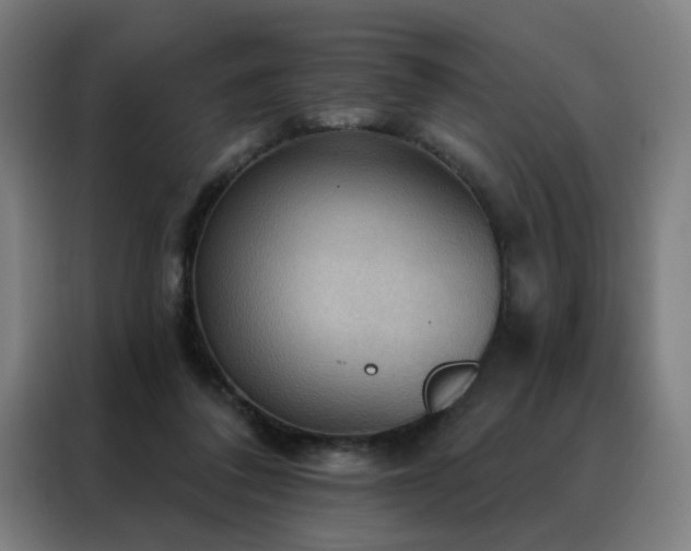 X0000088390308200705221120