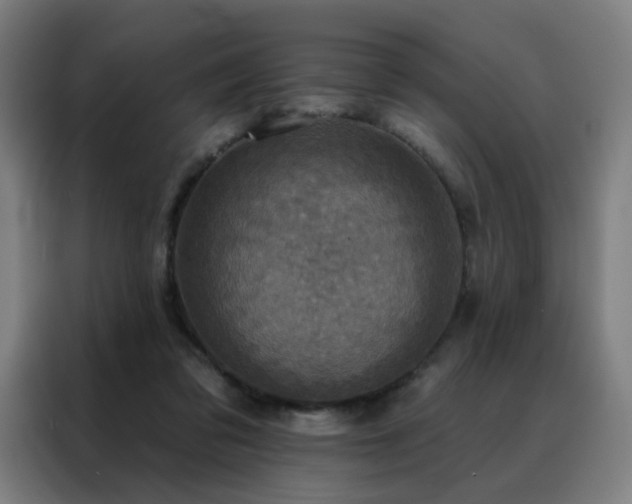 X0000088390309200705221120