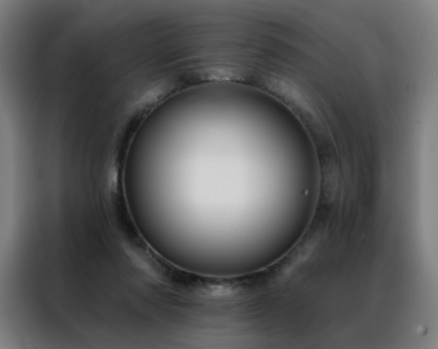 X0000088390310200705221120