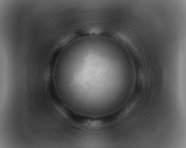 X0000088390311200705221120