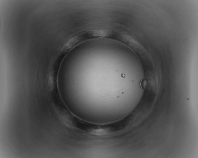 X0000088390312200705221120