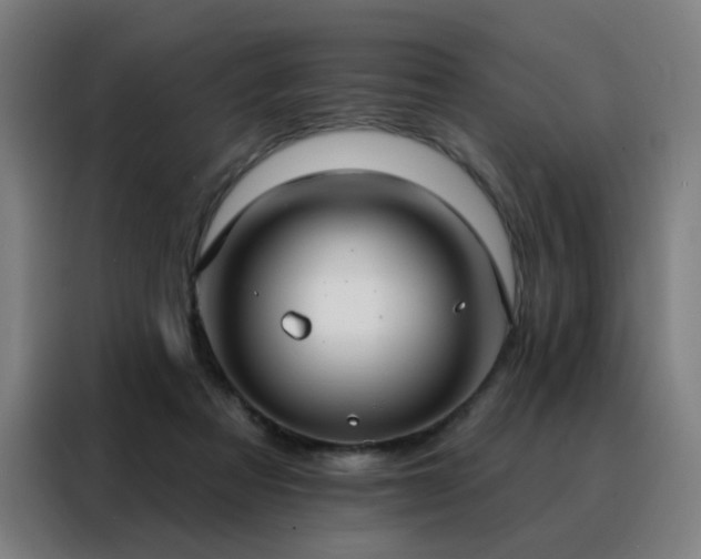 X0000088390313200705221120