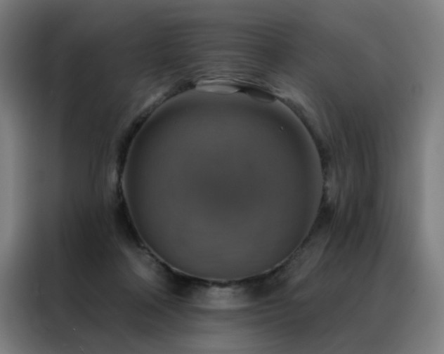 X0000088390314200705221120