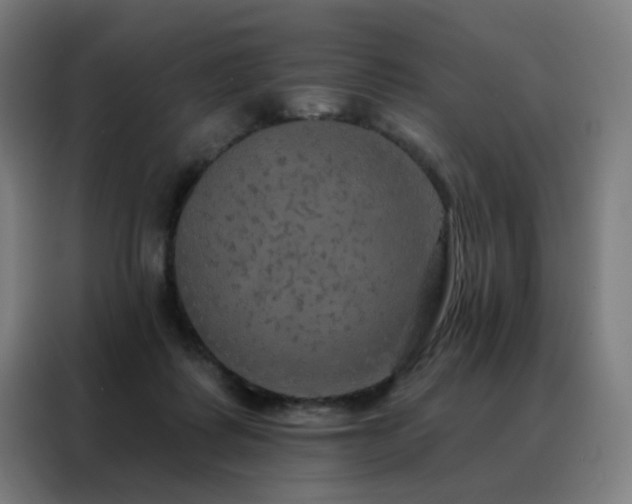 X0000088390315200705221120