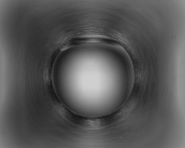 X0000088390317200705221120