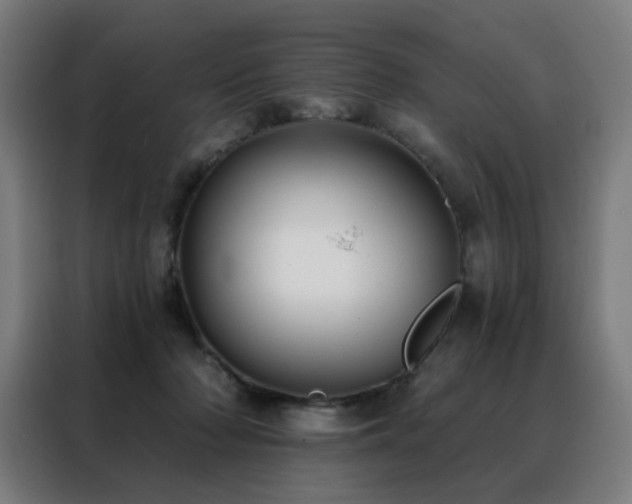 X0000088390318200705221120