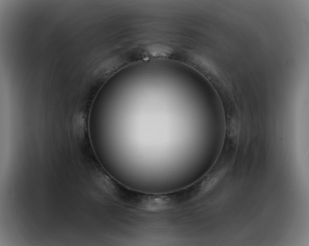 X0000088390321200705221119