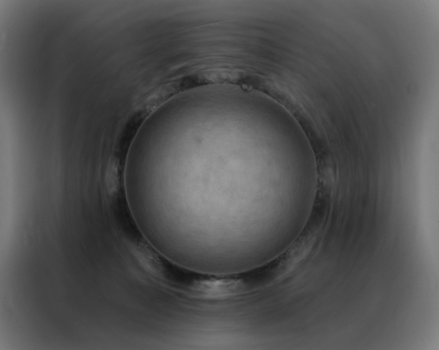 X0000088390323200705221119