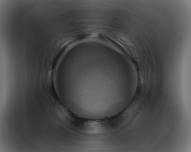 X0000088390325200705221119