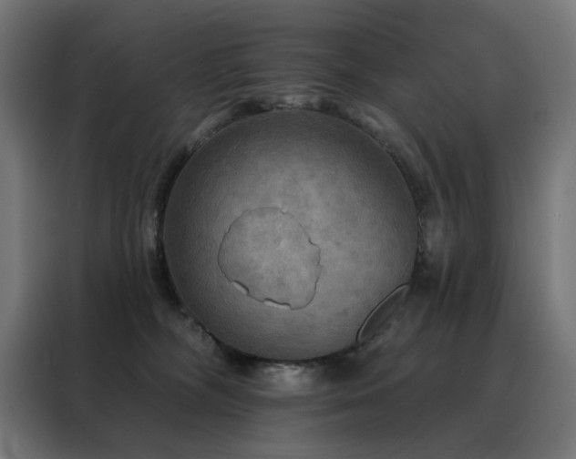 X0000088390326200705221119