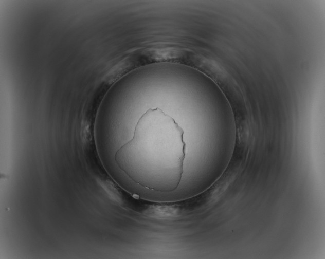 X0000088390327200705221119