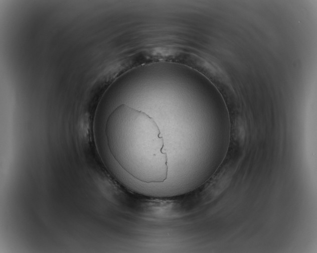 X0000088390328200705221119