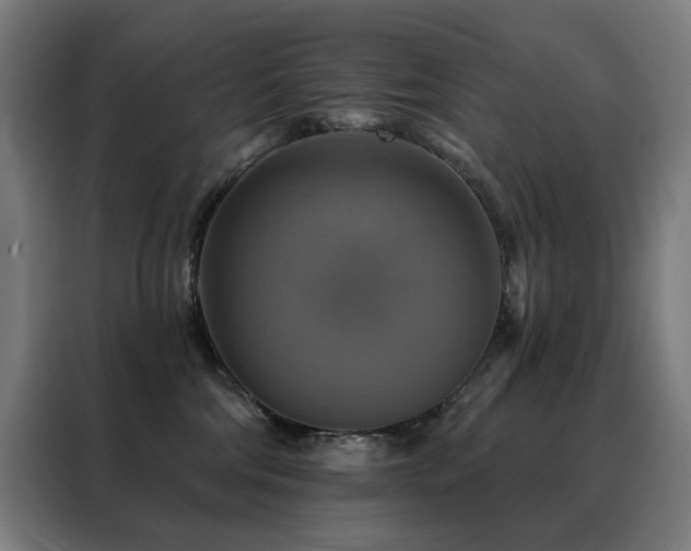 X0000088390330200705221119