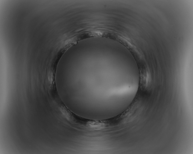 X0000088390331200705221119