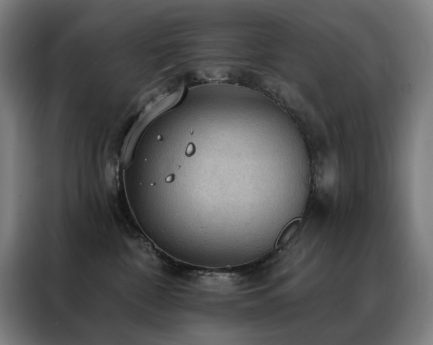 X0000088390332200705221119