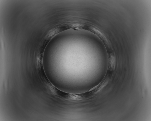 X0000088390333200705221119