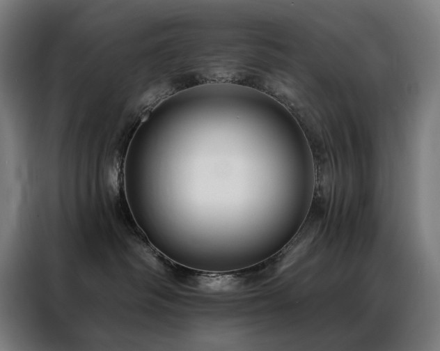 X0000088390334200705221119