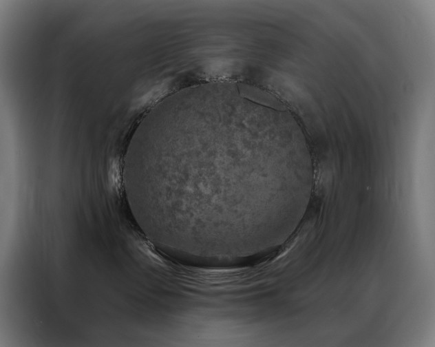 X0000088390335200705221119