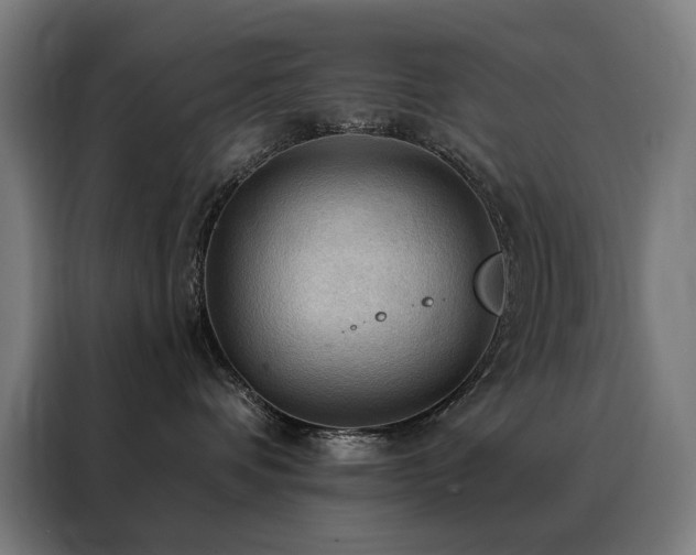 X0000088390336200705221119