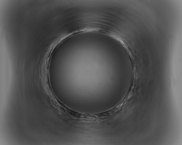 X0000088390337200705221119