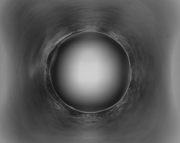 X0000088390338200705221119