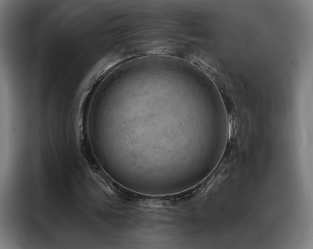 X0000088390339200705221119