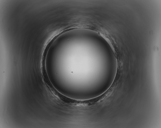 X0000088390340200705221119