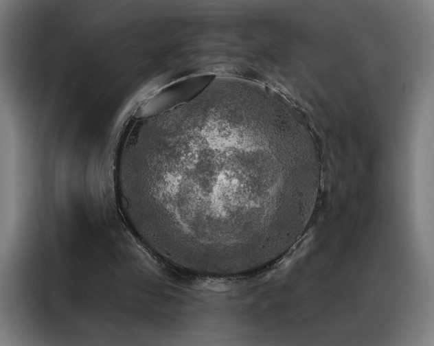 X0000088390341200705221119