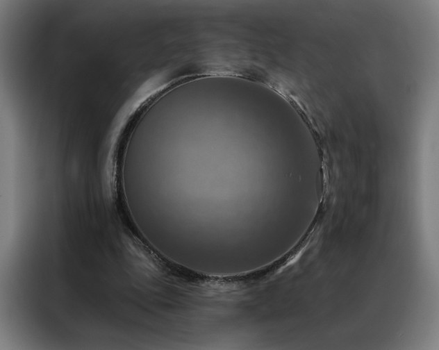 X0000088390343200705221119