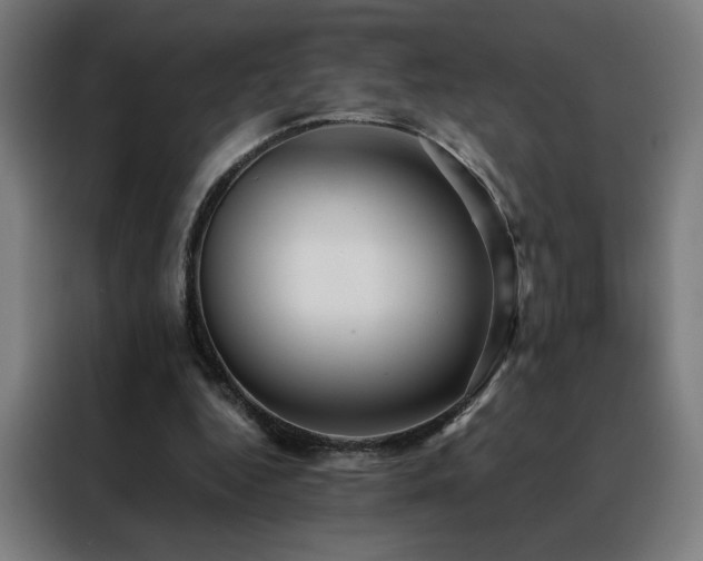 X0000088390344200705221119