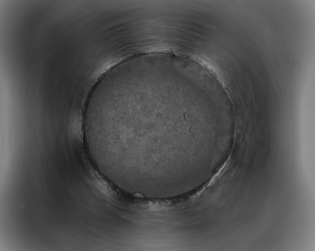 X0000088390345200705221119