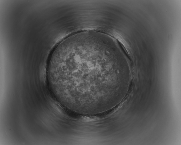 X0000088390346200705221119