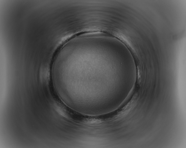 X0000088390348200705221119