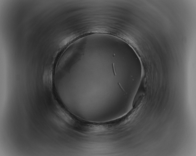 X0000088390349200705221119