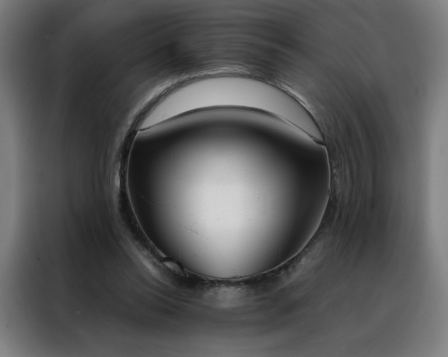 X0000088390350200705221119