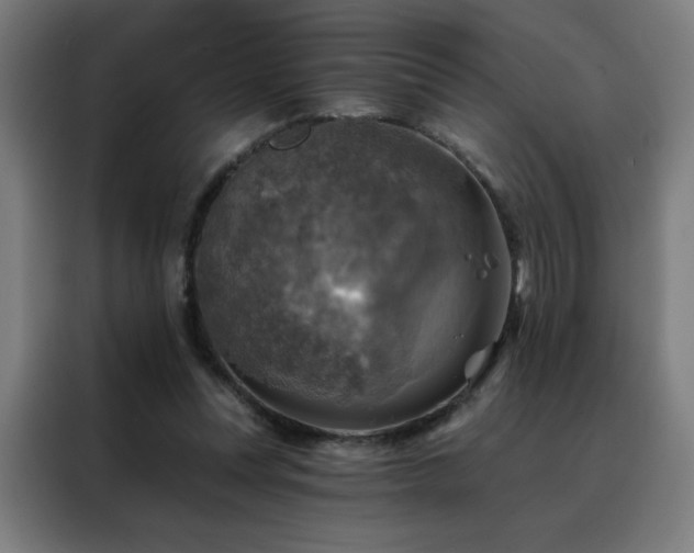 X0000088390351200705221119