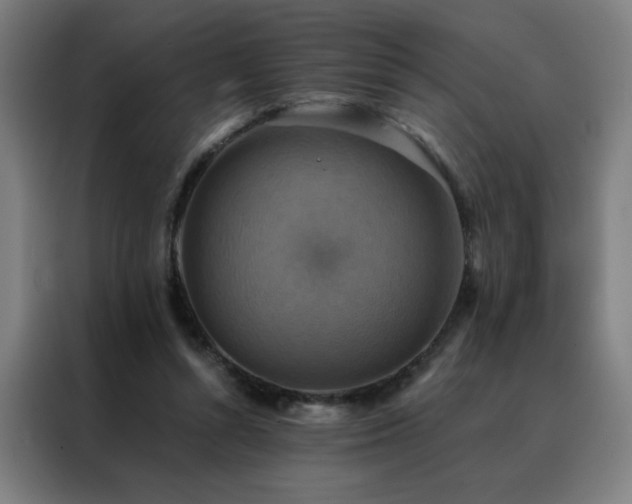 X0000088390352200705221119