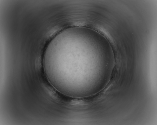 X0000088390354200705221119