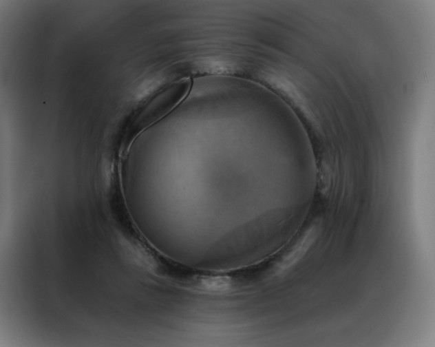 X0000088390355200705221119