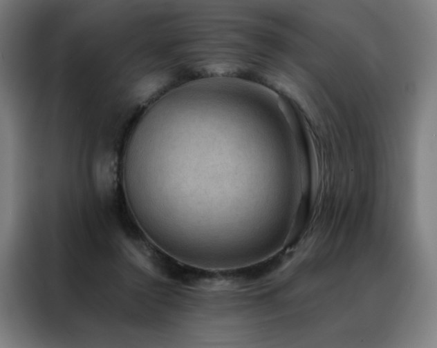 X0000088390356200705221119