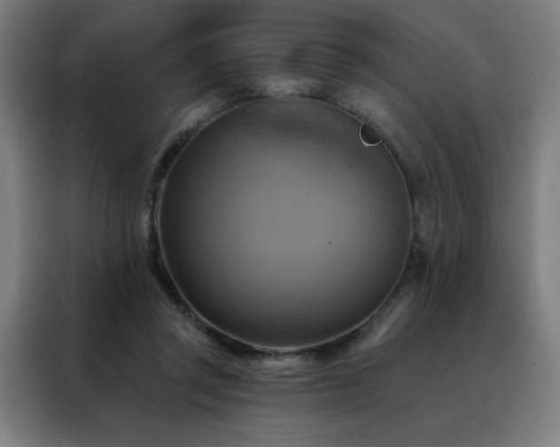 X0000088390357200705221119