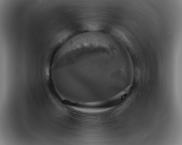 X0000088390358200705221119