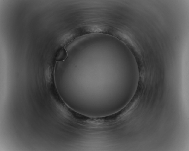 X0000088390359200705221119