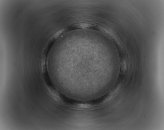 X0000088390360200705221119