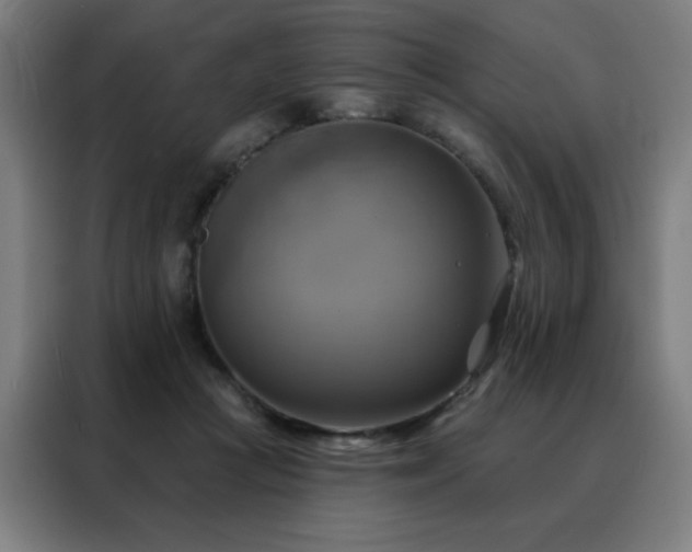 X0000088390361200705221119